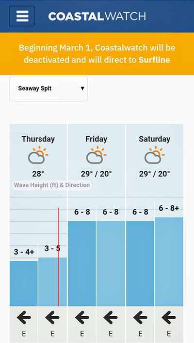 Swell Prediction Feb 4 2021